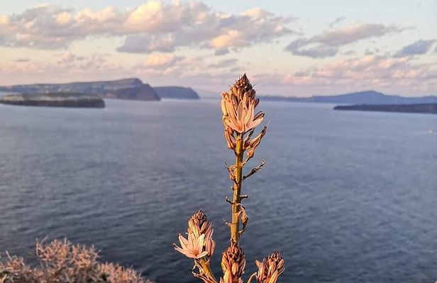 Private Sunset Inland Fishing Tour in Vlychada