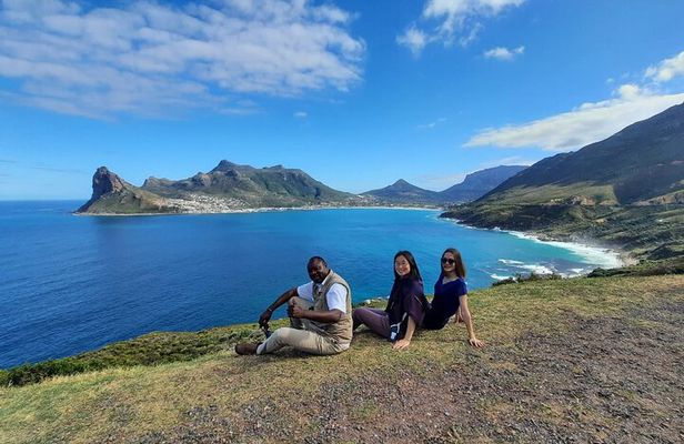 From CapeTown:To Chapman's Peak, Penguins Half -Day Tour