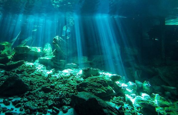 Dos Ojos Cenote Dive: Barbie Line & Bat Cave – 2 Dives