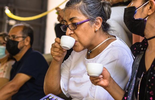 The Colors of Coffee in the Farms of Coatepec