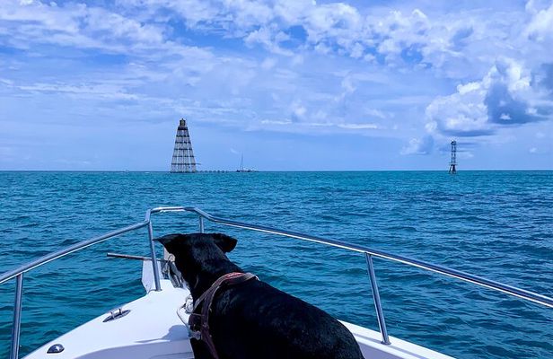 Explore the Waters of Key West from the Reef to the Sandbars