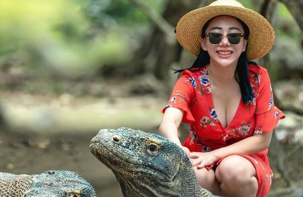 Komodo Tour 3D/2N Live on Board -Join Group Category-Share Cabin