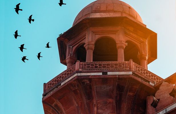 All Inclusive Taj Mahal Day Tour by Fastest Train From Delhi