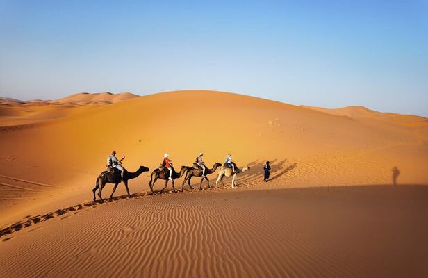 2 Days Trip Sahara Desert Fez To Fez
