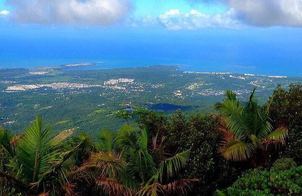El Yunque Rainforest Guided Tour