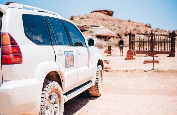 Zion National Park Petroglyphs, Dino tracks and More!