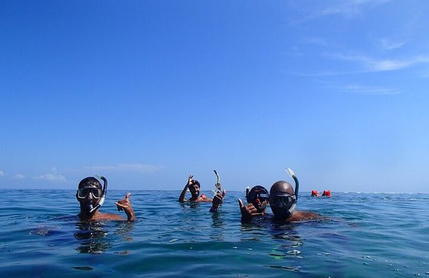 Full Day Cahuita Snorkel And Sloth Sanctuary from Puerto Viejo de Limón