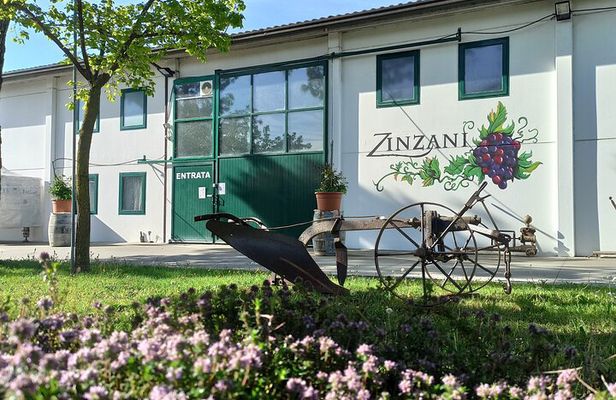 Visit of the Winemaker with Tasting of Typical Products in Faenza