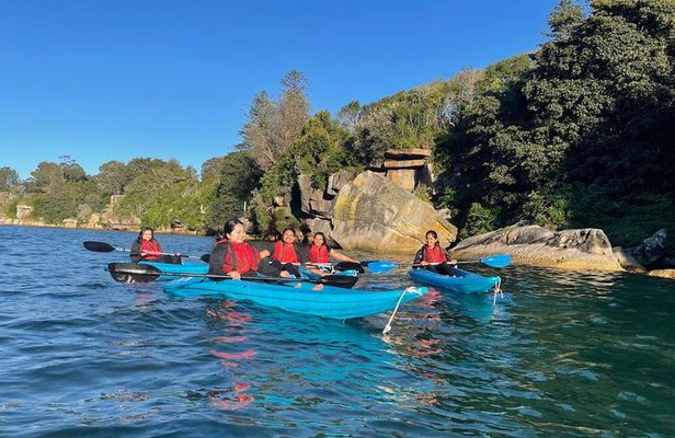 Guided Kayak Tour of Manly Cove Beaches