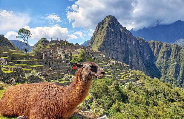 Machu Picchu Full Day Tour with a private guide