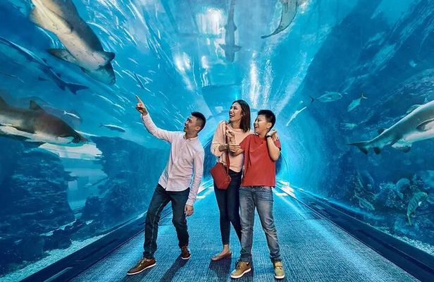 Dubai Aquarium UnderwaterZoo and Penguin cove Admission Ticket