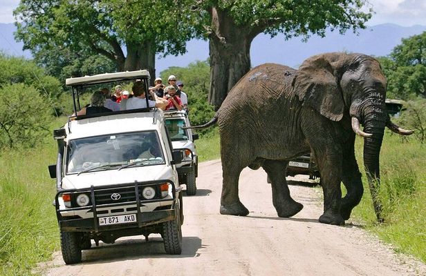 3 Days Private Midrange Lodge Safari with Kilimanjaro Day Hike
