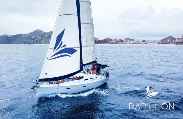 Private Sailboat tour in Cabo San Lucas with Papillon Yachts