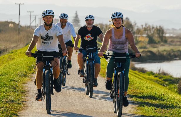 Napier Pub & Winery BIKE Ride with MIDDAY Shuttle - Self-Guided