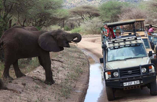 2 Days Private Midrange Safari from and back to Zanzibar