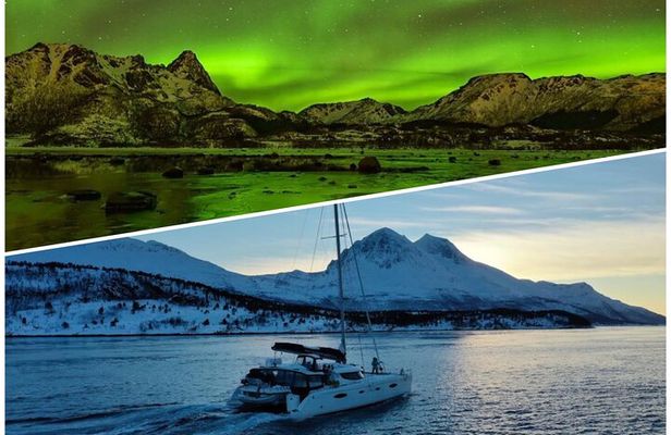 Northern Light Cruise With Luxury Catamaran in Tromso, Norway