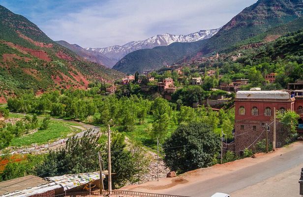 Private Day Trip To Ourika Valley And Anima Garden(André Heller)