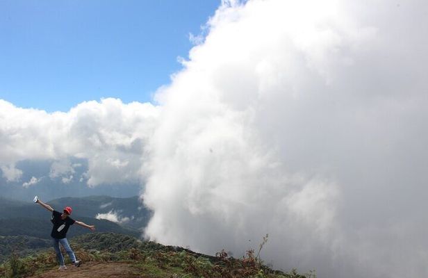 Doi inthanon National Park + 2Hour Fantastic Trekking with Lunch