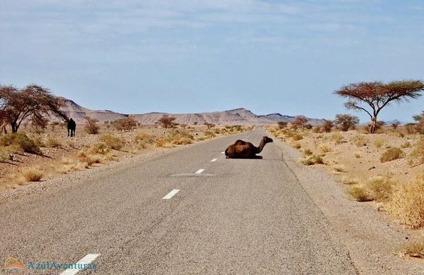 2-Day Private Tour from Marrakech to the Sahara Desert and Camel trek