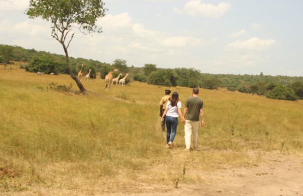 2 Day Lake Mburo National park wildlife Safari