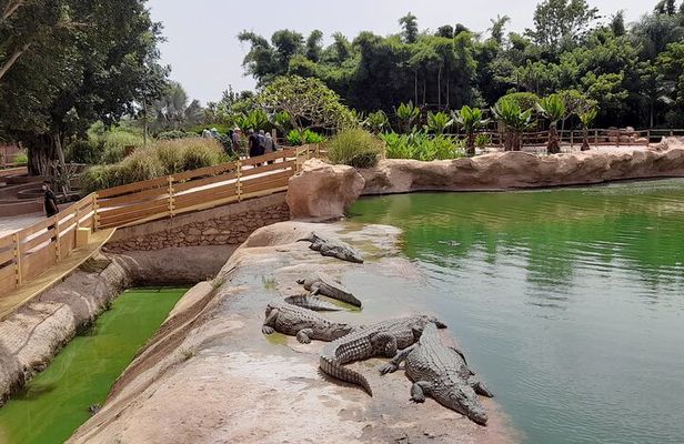 Agadir Crocoparc Tour with local guide
