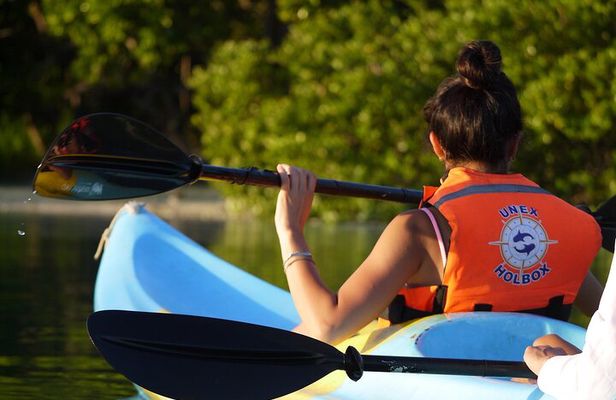 Tour the Mangroves in Kayak by Isla Holbox