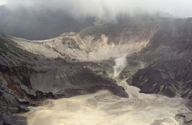 Volcano Trekking, Hot Spring, Tea and Coffee Tour