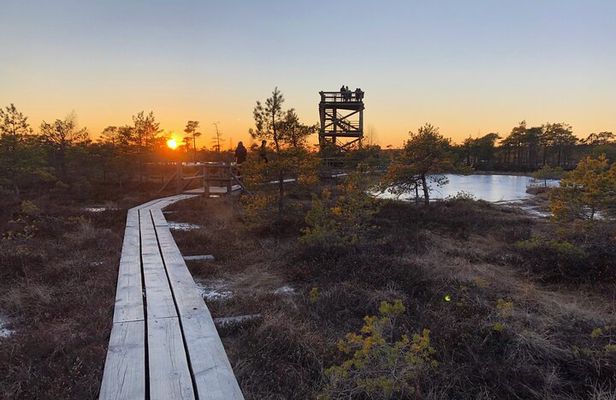 Sunset at Kemeri National Park