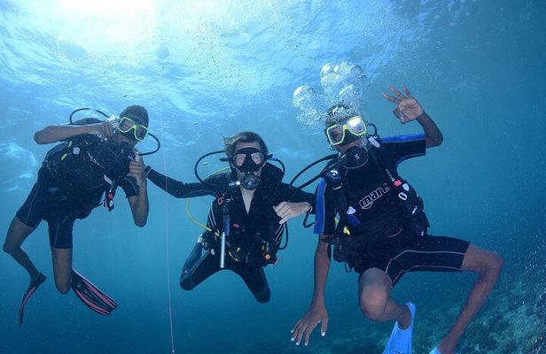 Discover Scuba Diving Experience
