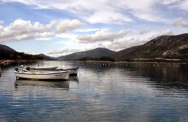 Oysters and mussels tasting with wine in Ston and Pelješac