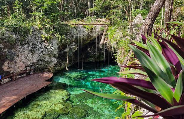 Tulum, Cenote and Playa del Carmen from Cancun