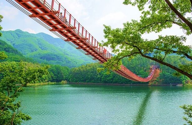 Private DMZ Peace Tour: 3rd Invasion Tunnel and Suspension Bridge