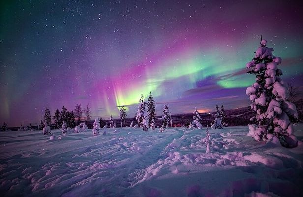 Night Snowshoeing Adventure under the Northern Lights