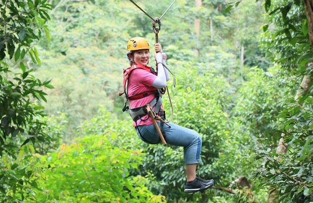 Zipline Experience in Chiang Mai