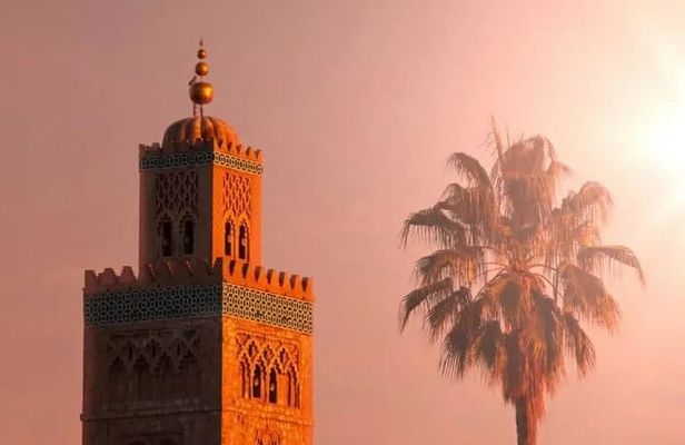 Marrakech Guided Day Trip with Pickup From Taghazout or Agadir 