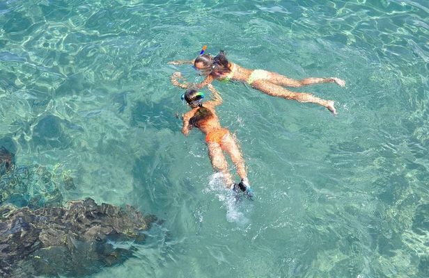 Combo Tour: Manuel Antonio + Catamaran tour from San José