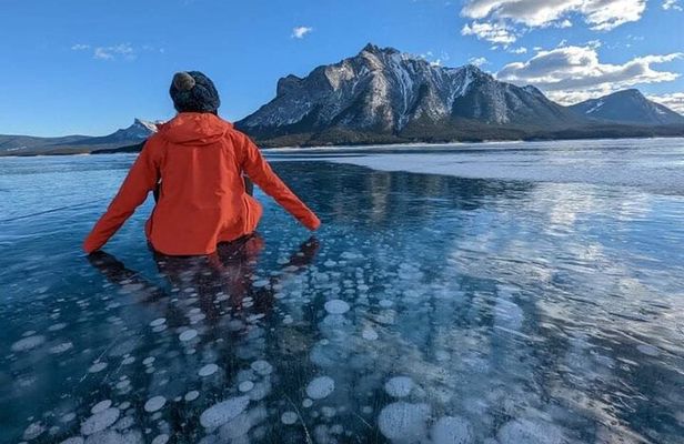 Banff Winter Day Tour: Lake Louise Ski Resort & Abraham Lake