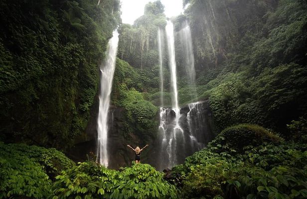 Private Full-Day Sekumpul Waterfall Hiking Tour