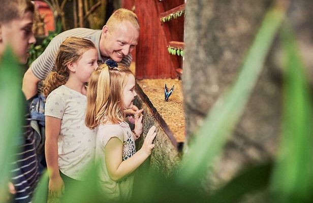 La Paz Waterfalls Gardens Tour (Half day)