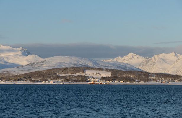 All-Inclusive Arctic Fjords and Sommarøy Scenic Tour