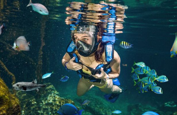 Xel-Ha Tickets with Transportation included