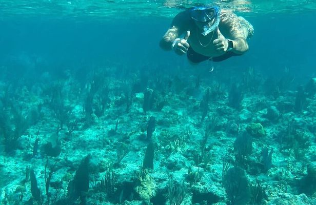 Rose Island, Snorkeling & Turtles Spotting Excursion