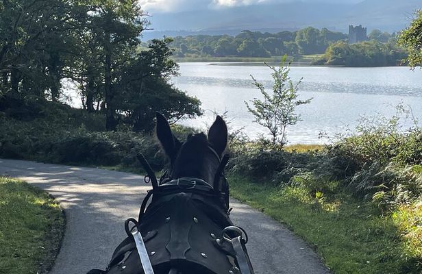 Horse-Drawn Carriage Tours in Killarney