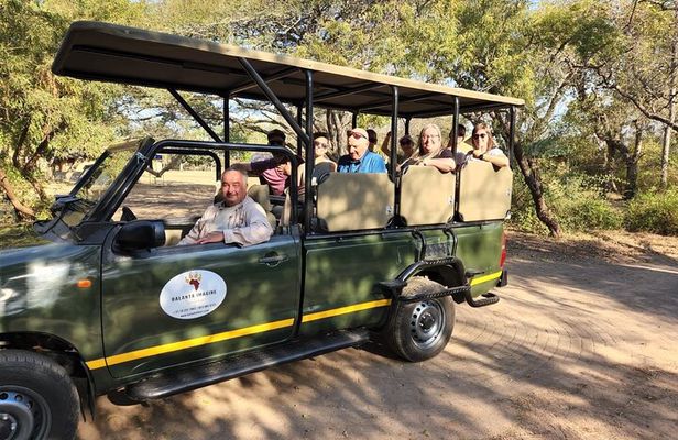 Half Day Kruger Open Vehicle Safari from Marloth Park