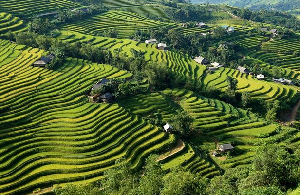 Hoang Su Phi Trekking Tour 3 days 2 nights