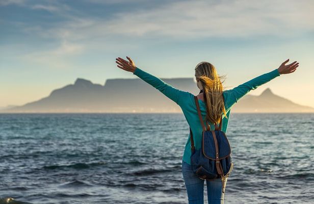 Table Mountain, Penguins, Cape of good hope and Stellenbosch tour