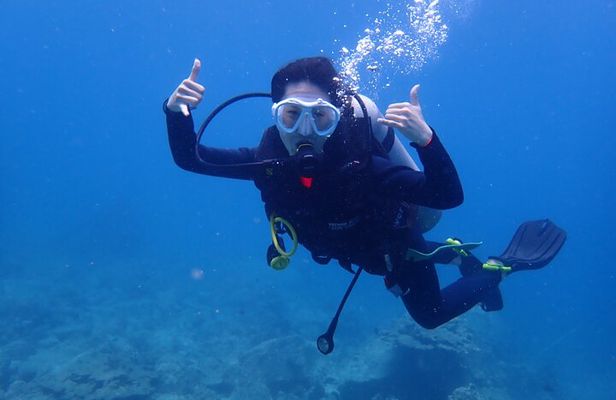 PADI Open Water Diver Course | For beginners
