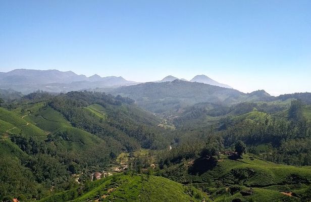 3 Nights Private Tour- Cochin/Munnar/Houseboat- Sanguine Holidays