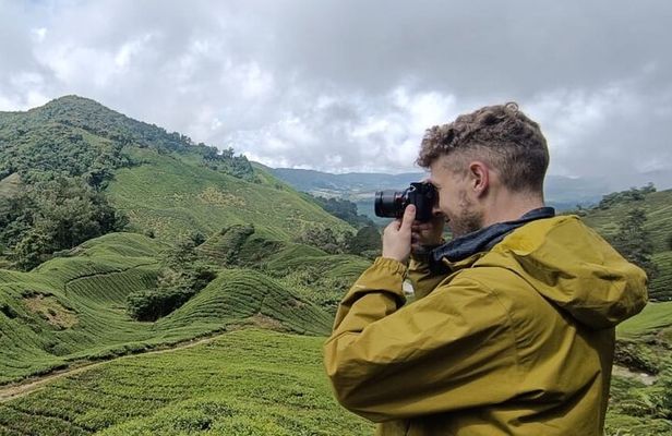 Cameron Highland Best Tour from Kuala Lumpur( Day Trip)