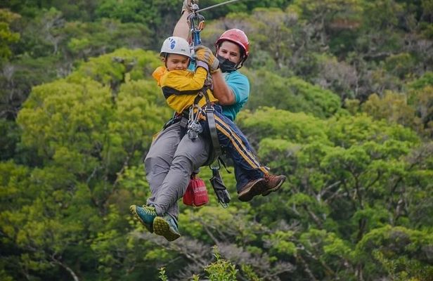 Combo Original Canopy (Tarzan Swing - Hanging bridges - Rappel & Climb tree